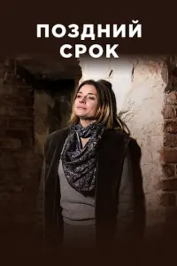 Поздний срок русский сериал